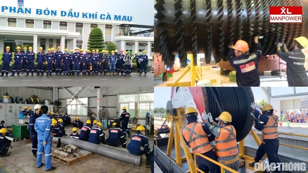 Cung ứng nhân lực uy tín